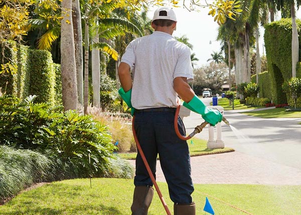 About Munden KS Pest Control